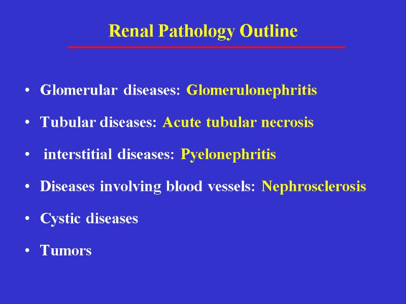 Renal Pathology Outline Glomerular diseases: Glomerulonephritis Tubular diseases: Acute tubular necrosis   interstitial